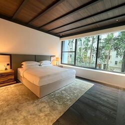 21 Anderson (D10), Condominium #517359031
